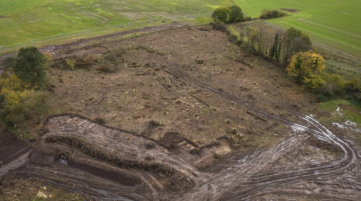 Hs2 Cuts Down Ancient Trees In Euston And Considers Cutting Costs Too 